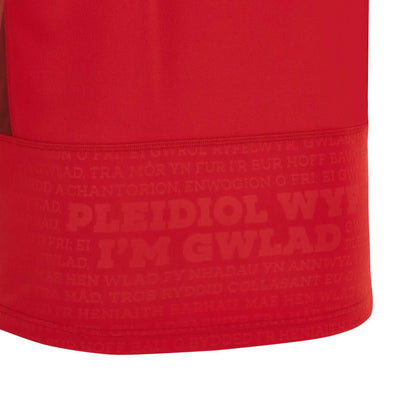 2023 Wales Rugby Jersey Home and Away S-3XL